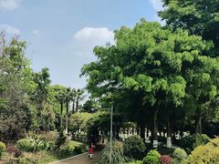 -府河摄影公园