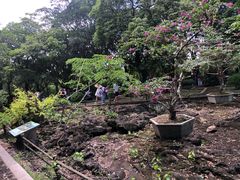 -海口火山口国家地质公园
