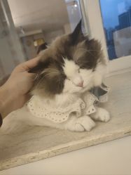 -闺蜜瑜伽·普拉提女性塑形馆