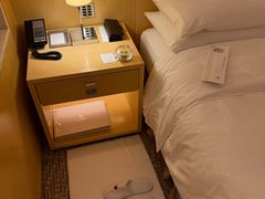 -广州白天鹅宾馆