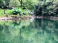 -白云源风景区