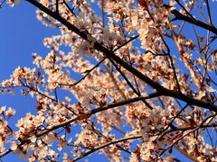 -钟山体育运动公园