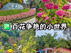-云溪植物园