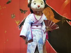 -济州岛泰迪熊博物馆