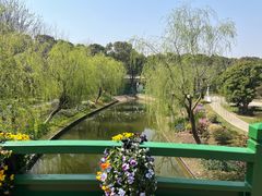 -上海鲜花港