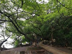 -抚仙湖禄充风景区