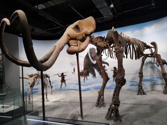 -辽宁古生物博物馆