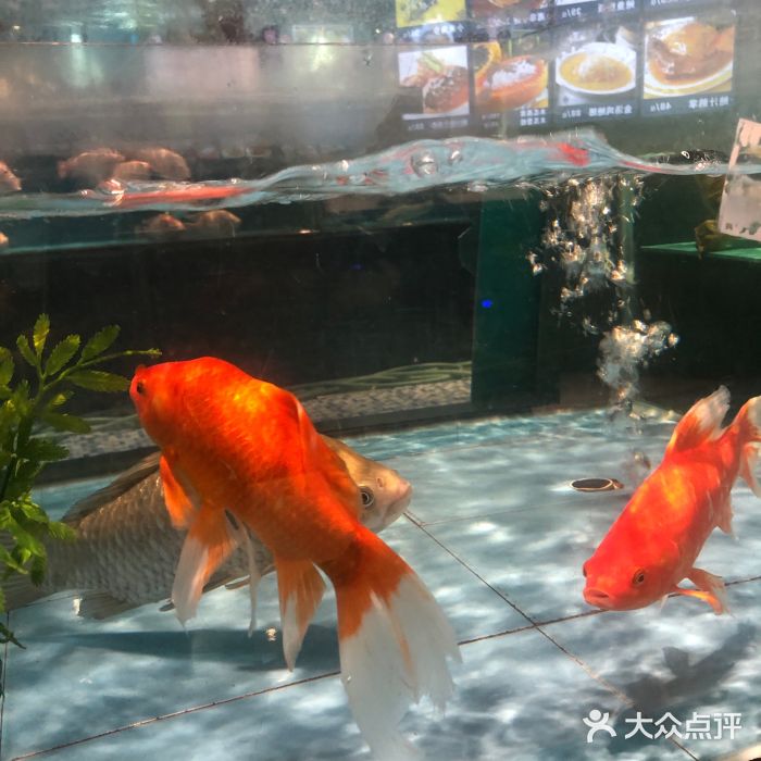 都市阳光海鲜城(青山湖店)图片