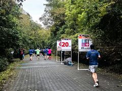 -上海海湾国家森林公园