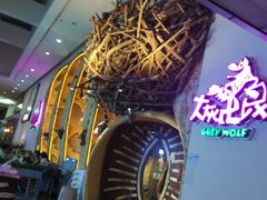 -大灰狼(中心书城店)