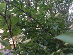 -哈尔滨工业大学-图书馆