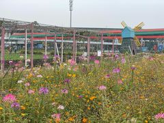 -新地休闲农场