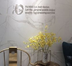 -潘多拉Hairsalon