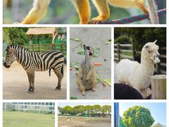 -苏州太湖西山岛开心农场