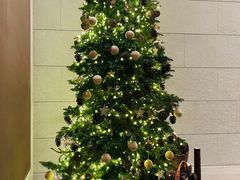 -上海柏悦酒店·世纪100牛排馆