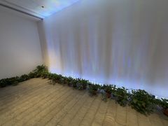 -大视光学•LINDBERG林德伯格•全球手工眼镜集合店(王府井店)