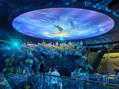 -陕西自然博物馆