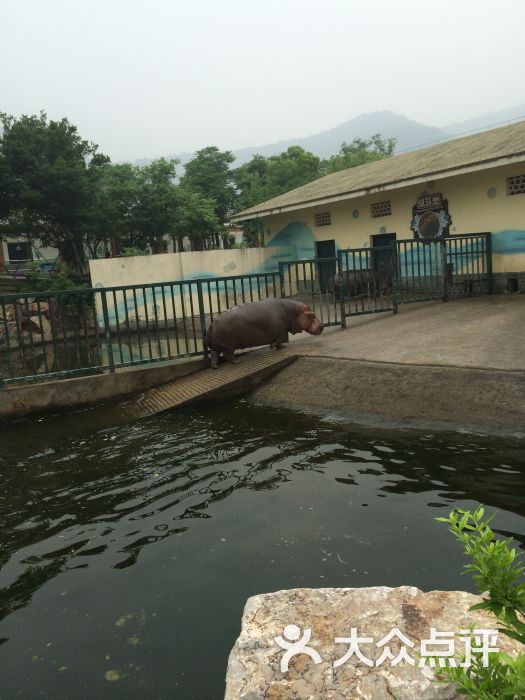 無錫動物園·太湖歡樂園圖片 - 第5張