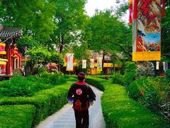 -白家大院·王府宫廷菜(苏州街店)
