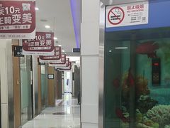 -雅悦齿科(顾村公园店)