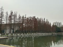 -圩墩遗址公园
