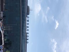 -谢列梅捷沃国际机场