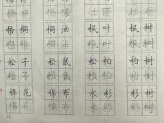 -赵汝飞练字硬笔书法(博泰国际校区)