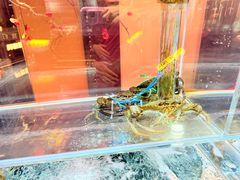 -苏淮景·苏闽融创菜·海鲜(原空港井河轩店)