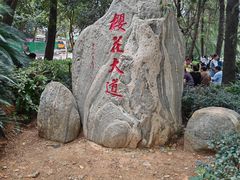 -武汉大学-樱园