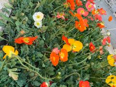 -果蔬好生活超市(乐堤港店)