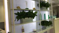 -PE SALON