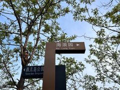 -燕儿岛山公园