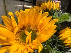 -WenTinG文汀·半糖蛋糕(港汇恒隆店)