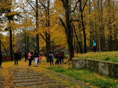 -阳台山自然风景区