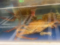 -隆聚·时令海鲜(洪兴店)