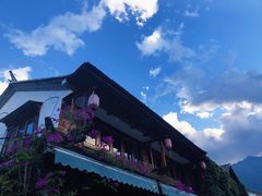 -阿鹏故事云南野生菌火锅(人民路店)