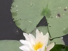 -长春公园(普阳街道)