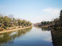 -上海海湾国家森林公园