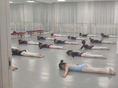 -西安小天鹅艺术团(金花路校区)