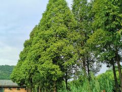 -东钱湖旅游度假区