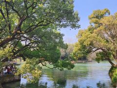 -西溪国家湿地公园