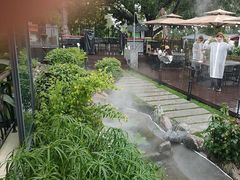 -蘇河湾·新鲁菜·泰山宴(泰山店)