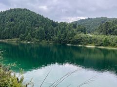 -武陵山森林公园