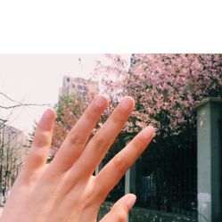 -孔雀手美甲美睫护理
