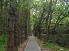 -同里国家湿地公园