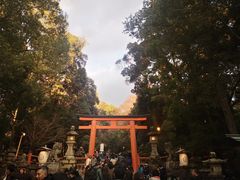 -奈良公园