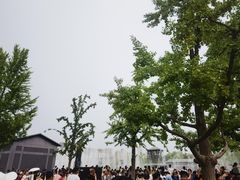 -大雁塔北广场音乐喷泉