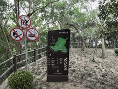 -上海佘山国家森林公园天马山园