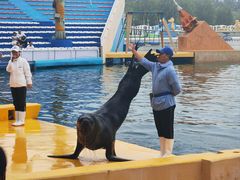 -秦皇岛乐岛海洋王国