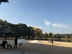 -上海佘山世茂艾美酒店